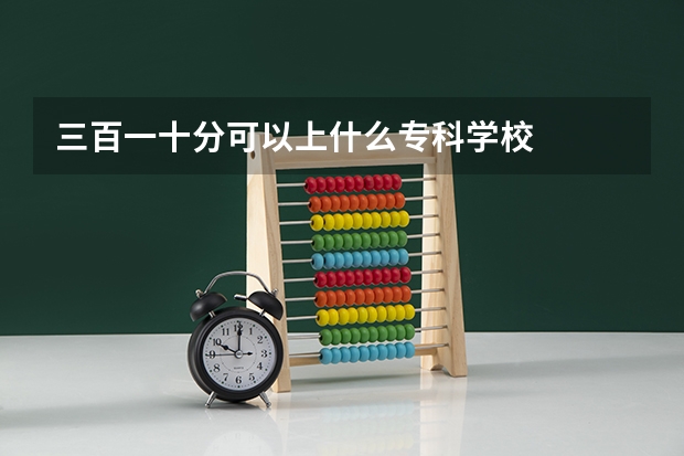 三百一十分可以上什么专科学校