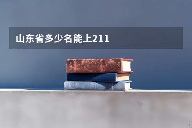 山东省多少名能上211