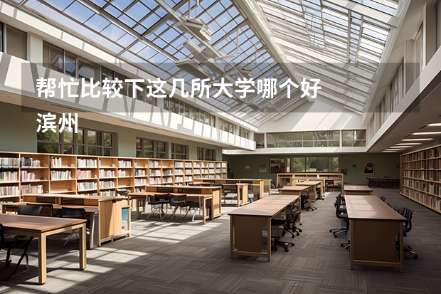 帮忙比较下这几所大学哪个好
滨州学院 泰山学院 潍坊学院 菏泽学院 本人分数在500左右 哪个更适合