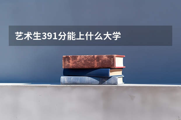 艺术生391分能上什么大学