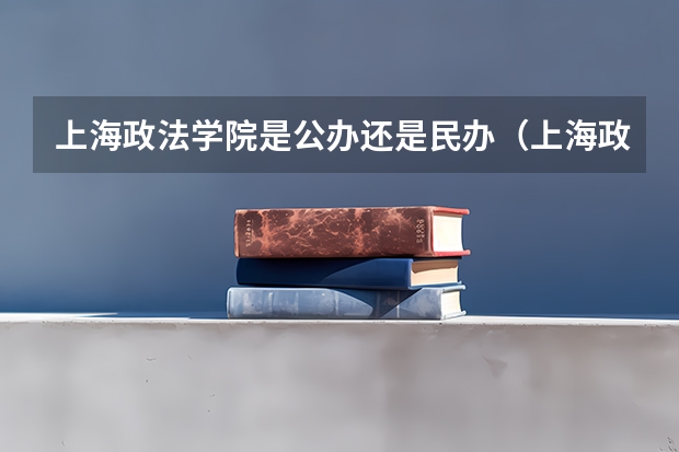 上海政法学院是公办还是民办(上海政法大学分数线)