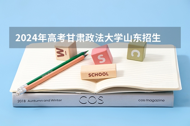 2024年高考甘肃政法大学山东招生计划介绍