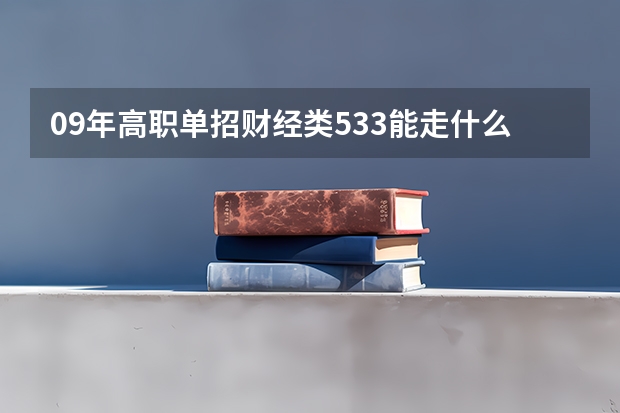 09年高职单招财经类533能走什么学校