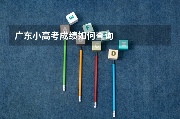 广东小高考成绩如何查询
