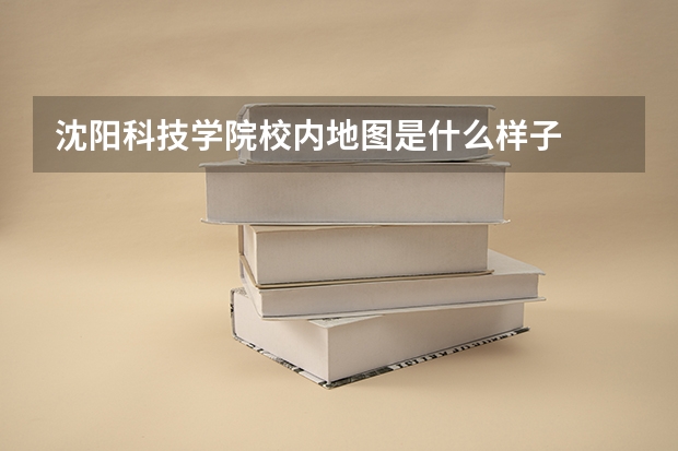 沈阳科技学院校内地图是什么样子