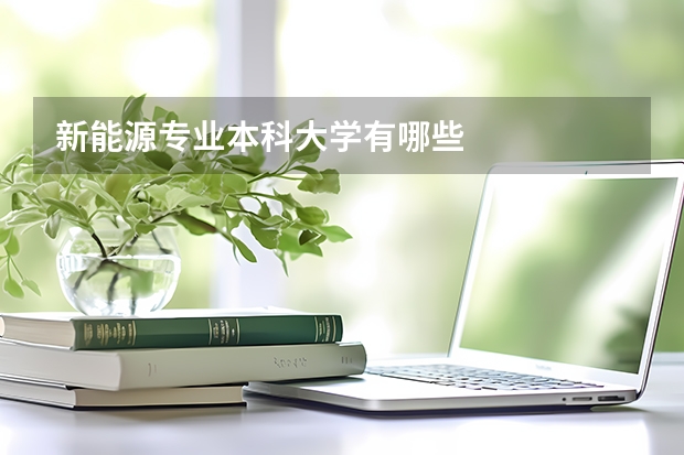 新能源专业本科大学有哪些