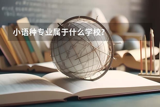 小语种专业属于什么学校？