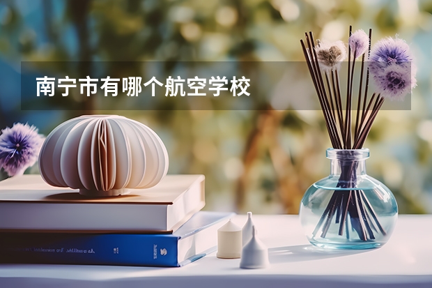 南宁市有哪个航空学校