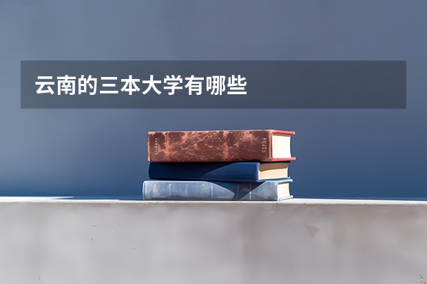 云南的三本大学有哪些