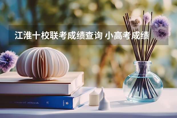 江淮十校联考成绩查询 小高考成绩 mobile.yggk.net查询成绩