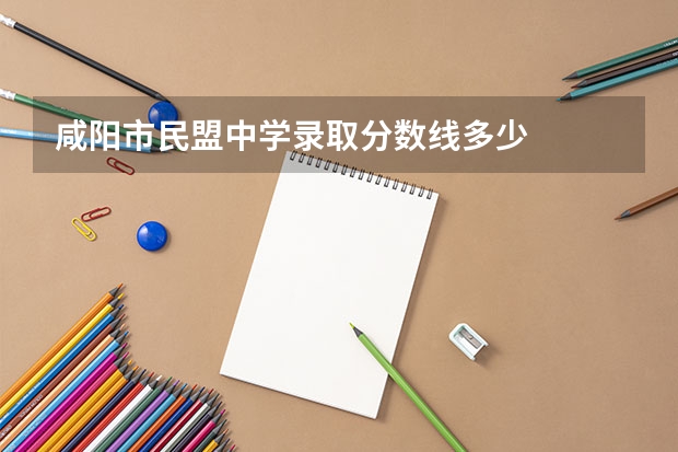 咸阳市民盟中学录取分数线多少