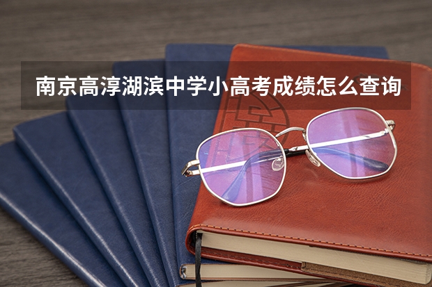 南京高淳湖滨中学小高考成绩怎么查询?