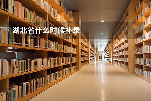 湖北省什么时候补录