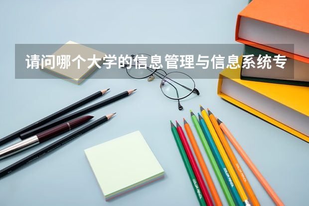 请问哪个大学的信息管理与信息系统专业比较好?