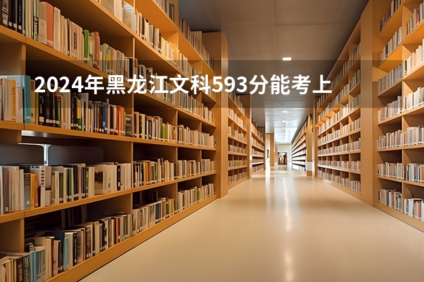 2024年黑龙江文科593分能考上什么大学?