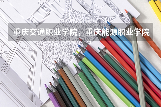 重庆交通职业学院，重庆能源职业学院，重庆信息技院哪个好点？？速求