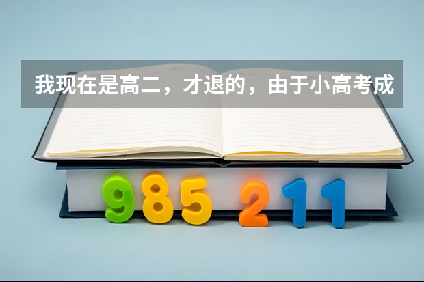 我现在是高二,才退的,由于小高考成绩太差了,退学太唐突了,现在想休学明年再念一年,不知可不可以!(萎靡不振 头晕 学习 高考)
